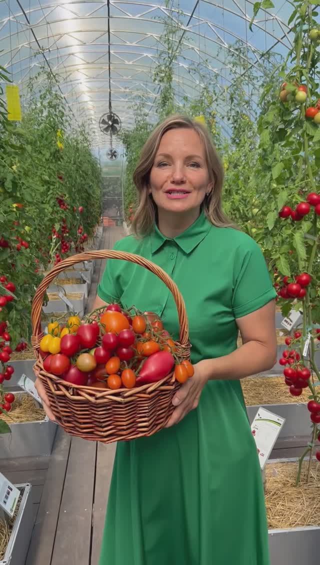 ? А сейчас мы будем вдохновлять вас на выращивание вкуснейших томатов и получение роскошных урожаев