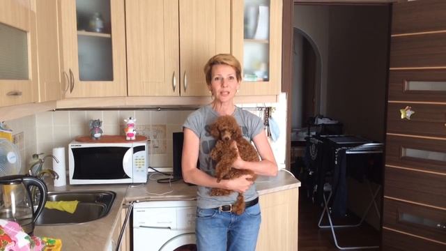 Химчистка Мебели на дому . Отзыв о работе специалиста от FUNCLEANSPB.RU