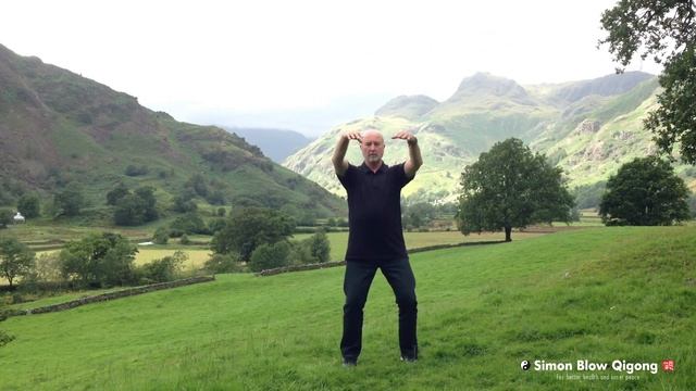 Tai Chi Qigong Shibashi - Qigong Energising Exercises