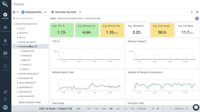 Sysdig Monitor - How to View Data Through Dashboards and Panels