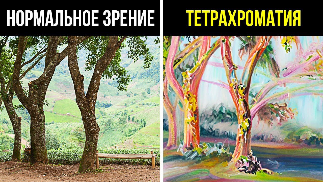 Ваше тело делает сумасшедшие вещи с момента вашего рождения
