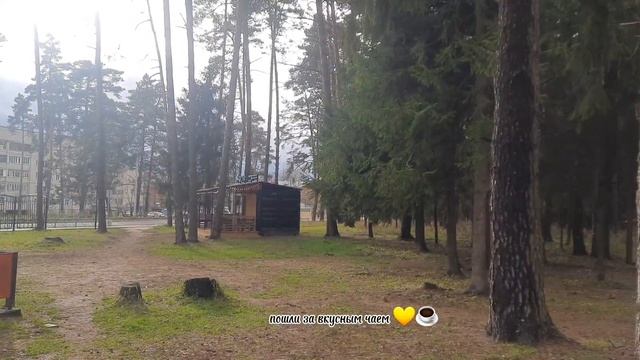 Похудение 2.0 / Отчет за неделю, вес