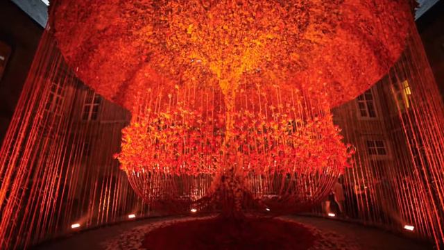 Tom De Houwer Floral artist - Inspirator - Teacher - Mentor