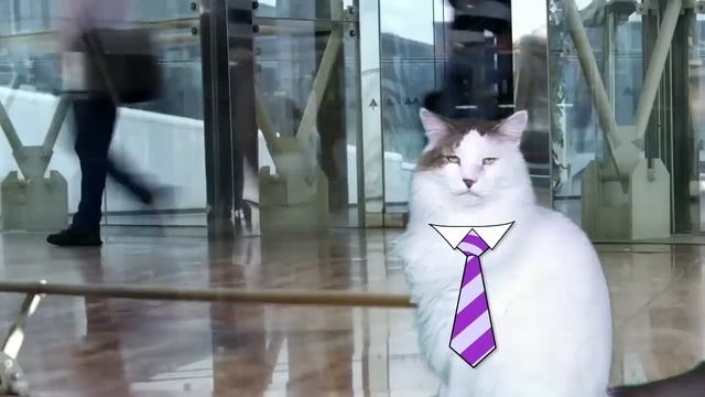HAPPY BIRTHDAY MOM! - EPIC CAT Happy Birthday Song