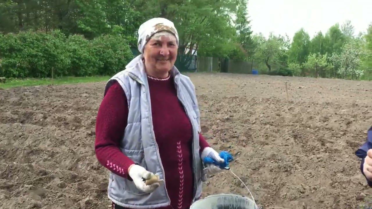 Приходской огород. 21.05.2023