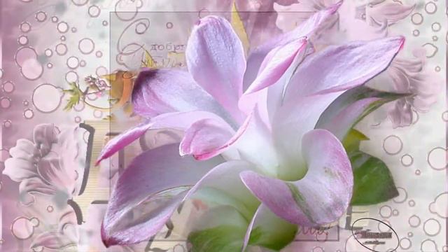 С добрым утром и хорошим днем  Good morning and a good day