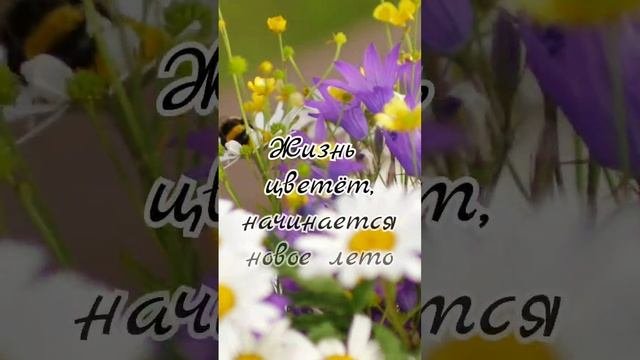 Счастливого лета #здравствуйлето, #счастливоголета