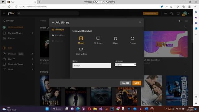 Client Server Demo Video Plex Media Server