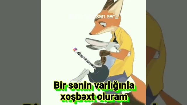 Romantic video. Baxan hərkəs heyran olacaq