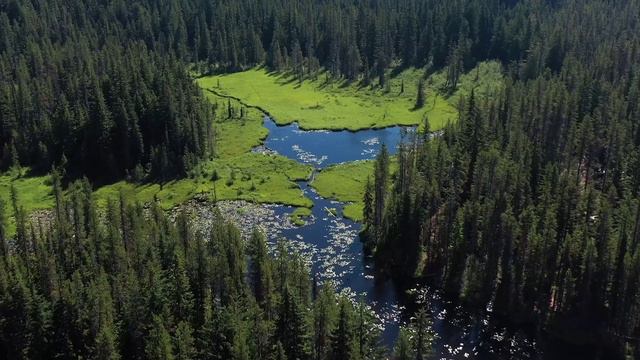 Пилотный проект в Республике Саха Якутия БАС