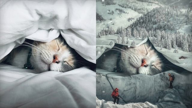 PHOTOSHOP - THE BEST 20 PHOTO MANIPULATION