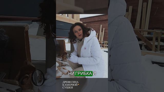 Камерная сушка: важный этап обработки древесины.