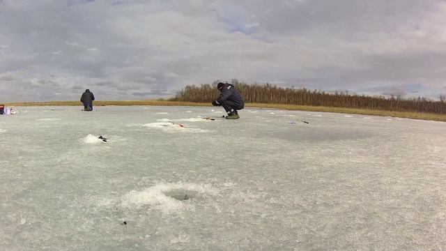 Фрагмент рыбалки 11.04.24г.