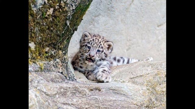 15 января / Катание на горке