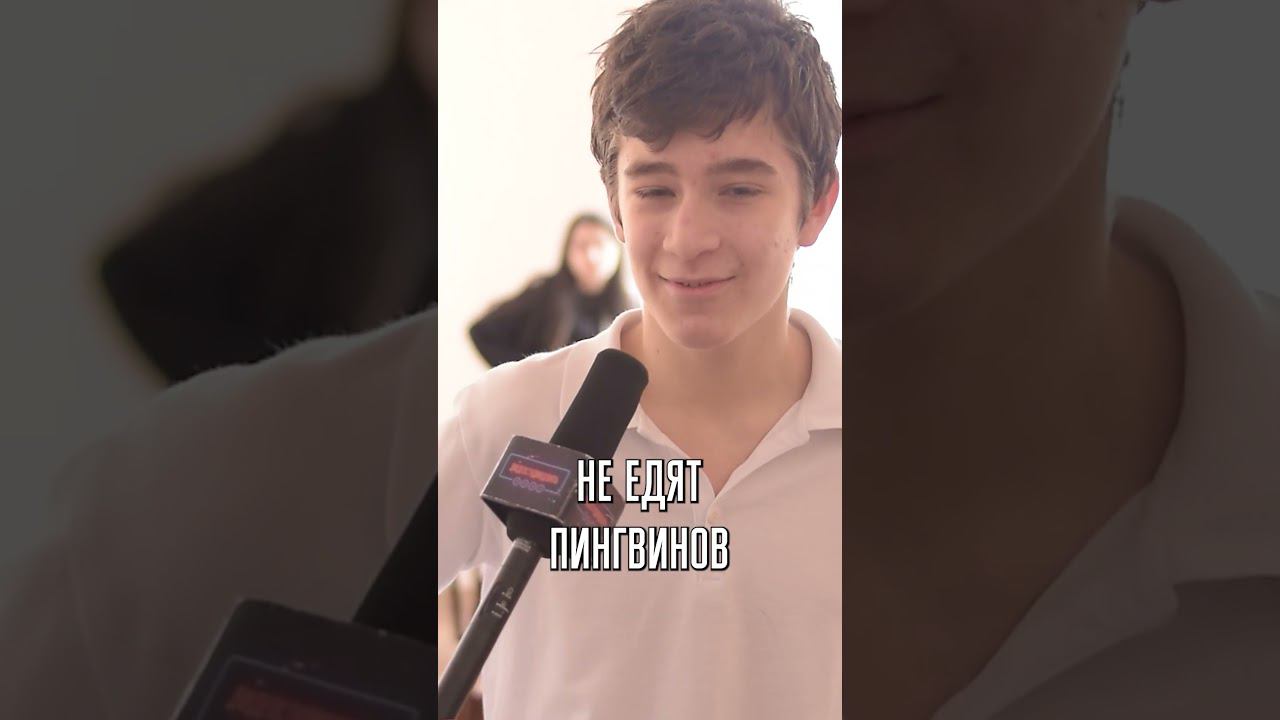 Пингвин и Медведь? #школа