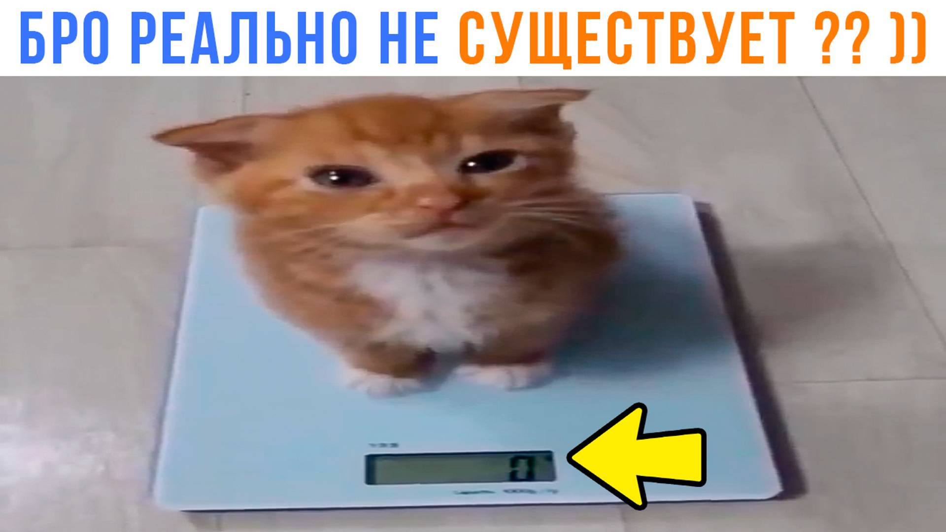 ЕГО НЕ СУЩЕСТВУЕТ??? ))) Приколы | Мемозг 1468