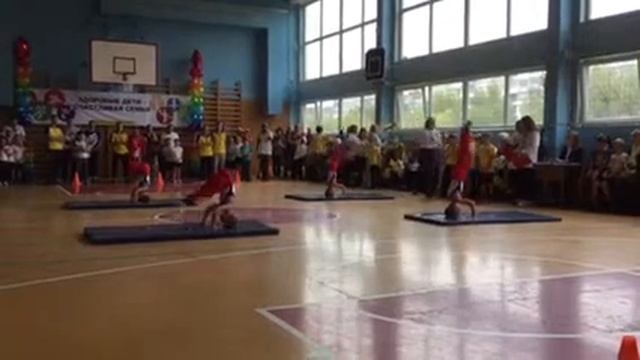 Показательные выступления. Спортивная гимнастика