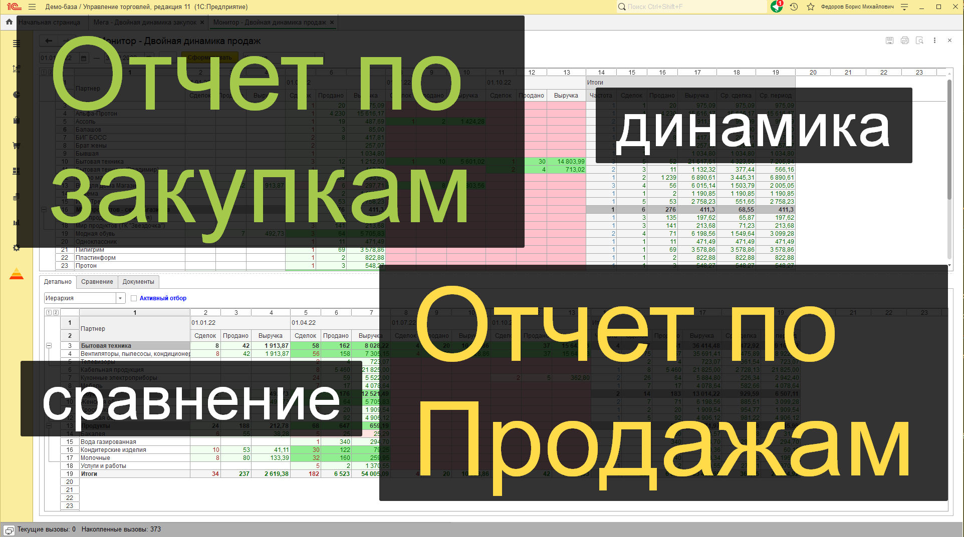 Мега: Отчеты по закупкам и продажам для 1С