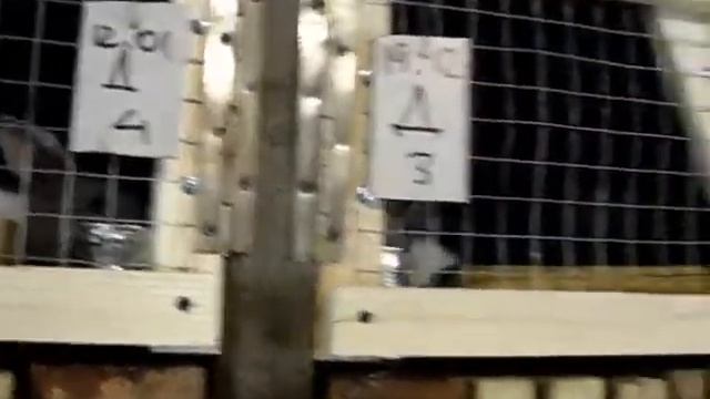 Новый вид трехярусного  размещения кроликов в помещении.