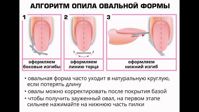 7.2. Овальные формы ногтей