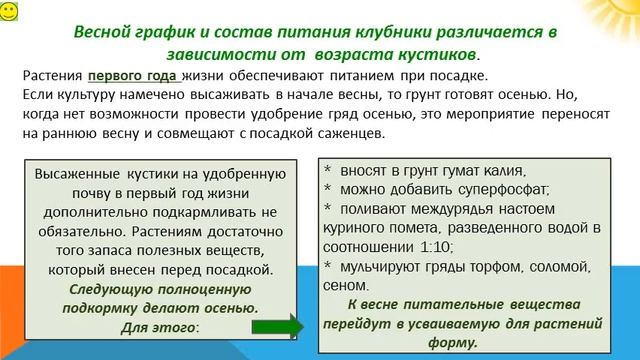 Удобрения для клубники весной