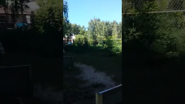 Дрессировка собак -ВИДЕООТЗЫВ -Ризеншнауцер Пегас 1год Дрессировщик -Иван