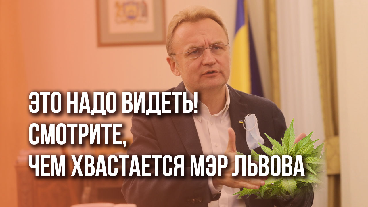 «Многие украинские политики употребляют»: львовский мэр хвастается своим урожаем конопли