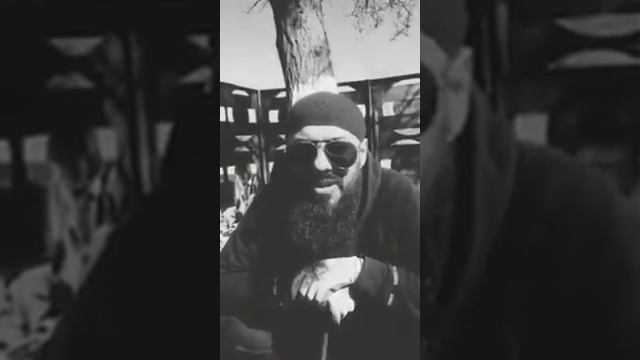 Умные люди говорят Умные слова