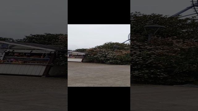 1000000782.mp4