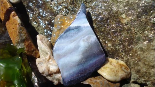 осколки ракушек на берегу моря