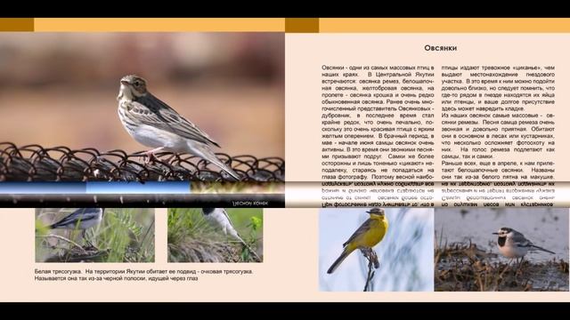 Книга о фотоохоте