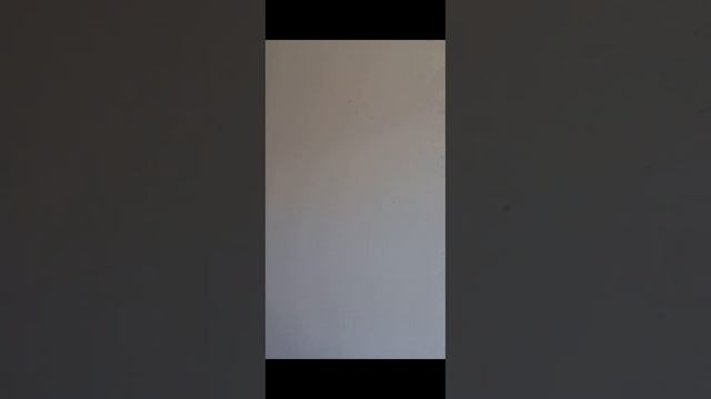 механизированое нанесение гипсовой шпатлевки