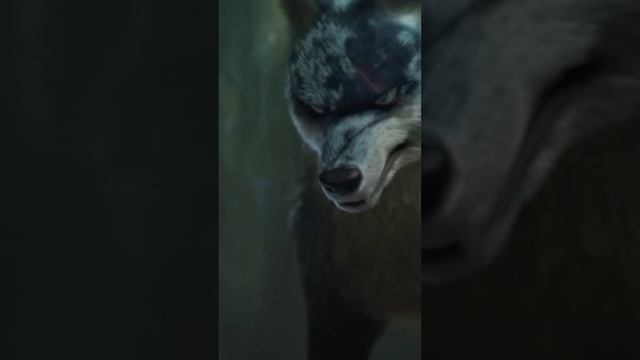Охотничий юмор от команды профессиональных охотников Rika NV