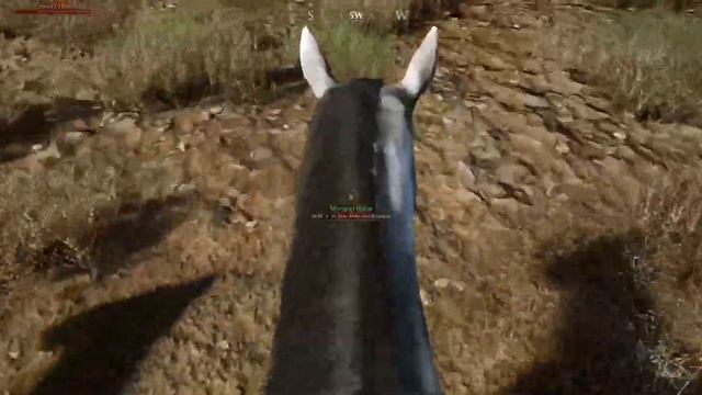 Mortal Online 2 | How to Make 80g/Hour Taming & Herding Desert Horses