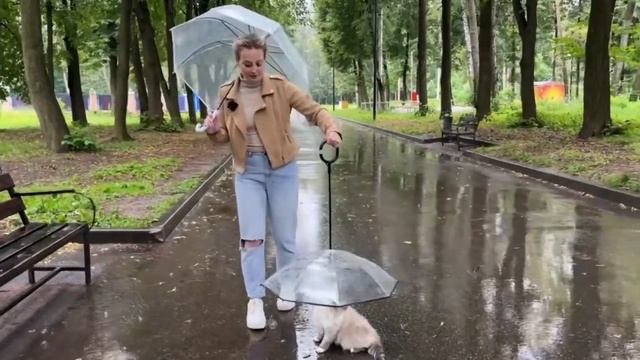 Зонтик для питомца