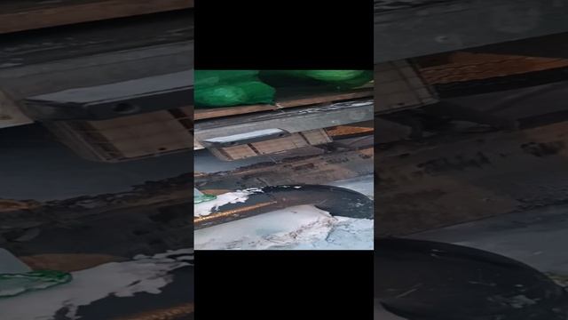 VID_20231029_163115.mp4