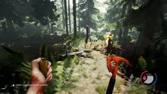 the forest 2020