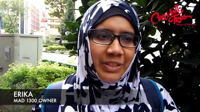 Velocifero MAD 1300W Testimonial