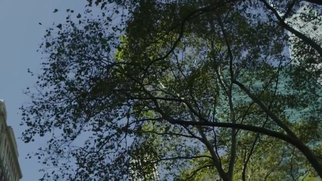 А ты боишься темноты? .Страшные. Мистические. Творческие  рассказы.