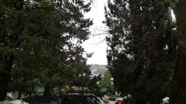 Очаровательная осень в Сочи.