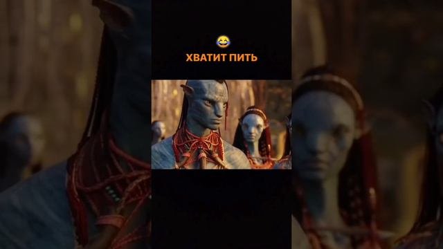 Хватит пить.