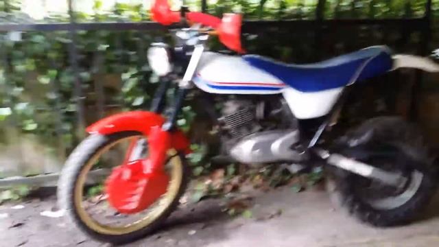 Suzuki  van Van modified /raised