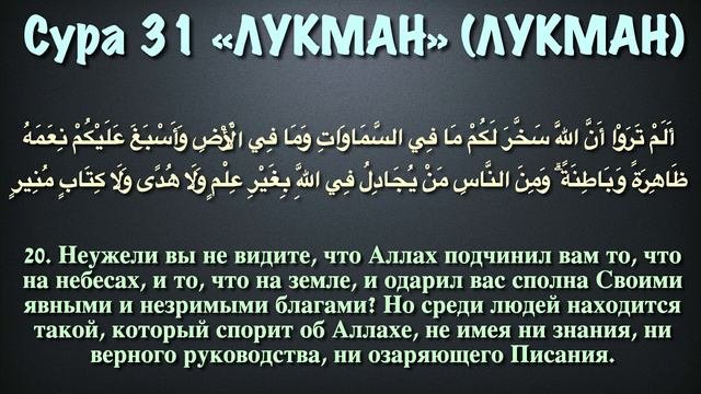 Сура 31 - Лукман арабские и русские титры Мухаммад Люхайдан