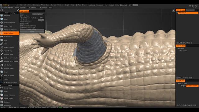 3DCoat SmartRetopo   part-2