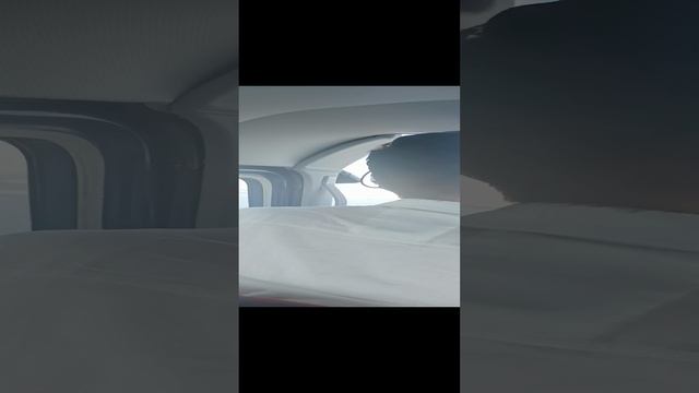 VID_20220626_142917.mp4