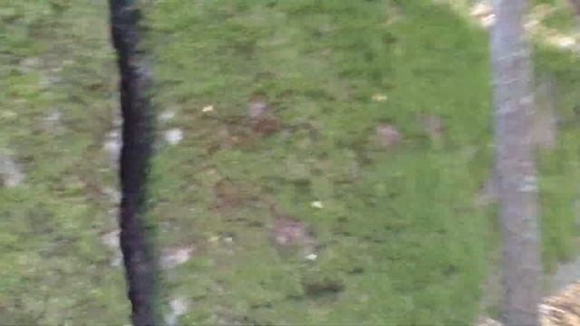 Каменное село Олевск Житомирская область