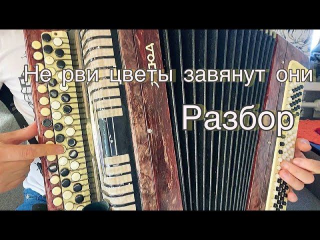 Не рви цветы завянут они /РАЗБОР НА БАЯНЕ/