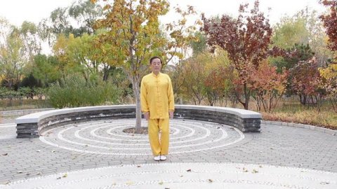 Ба Дуань Цзин (Восемь кусков парчи) · Короткая версия - Цигун и Даоинь с профессором Ху Сяофэем