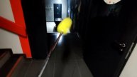Разгадана еще одна скрытая функция шуруповерта