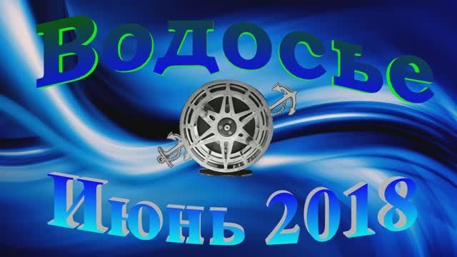 Водосье. Чудовский район 2018